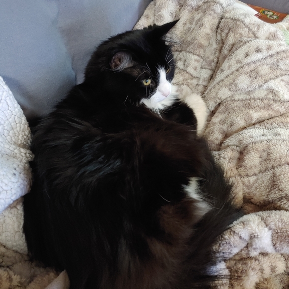 Lazy TV day๐๐บ ๐ - Picture 4 of 16